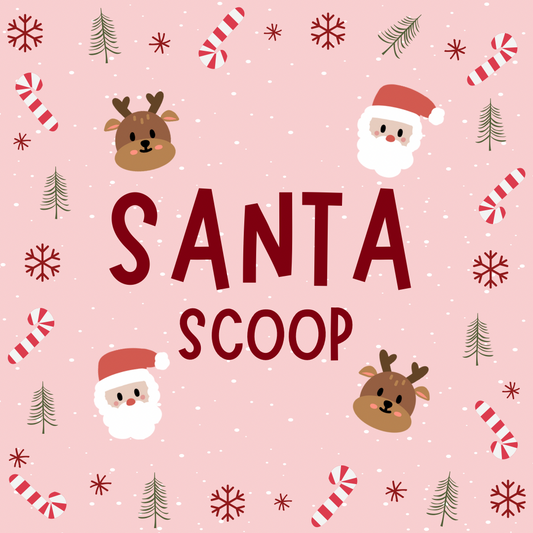 PREORDER 🎁 Santa Scoop 🎄🎅✨